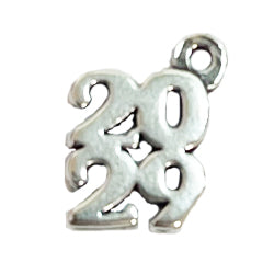 2029 Charm