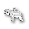 Asian Elephant Charm