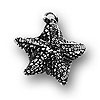 Bat Star Charm