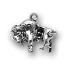 Buffalo Charm