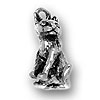 Cat Charm