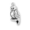 Spotted Owl Charm