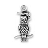 Wise Owl Charm