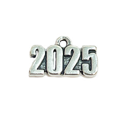 Year 2025 Charm