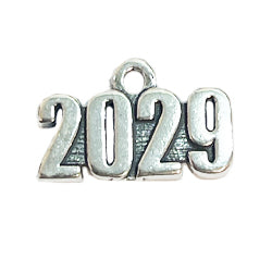 Year 2029 Charm