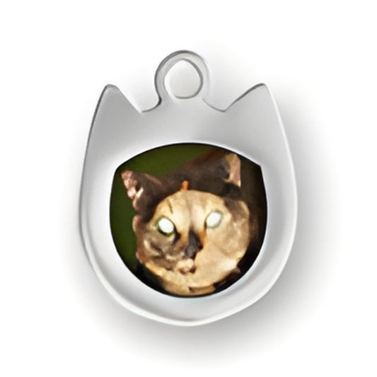 Charm Factory Sterling Silver Cat Picture Frame Charm featuring a detailed cat portrait in a cat-shaped frame.