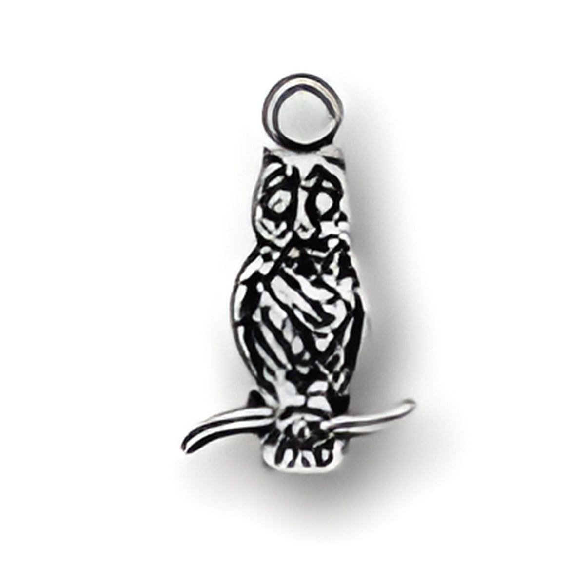 Sterling Silver Owl Charm featuring intricate detailing and a loop for attachment, designed for charm bracelets.