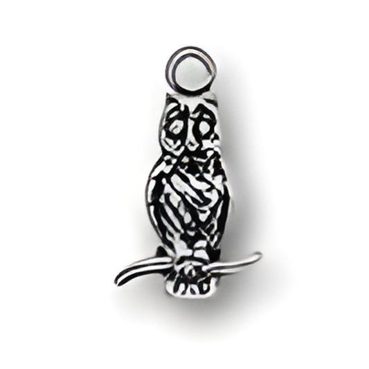 Sterling Silver Owl Charm featuring intricate detailing and a loop for attachment, designed for charm bracelets. Alt view.