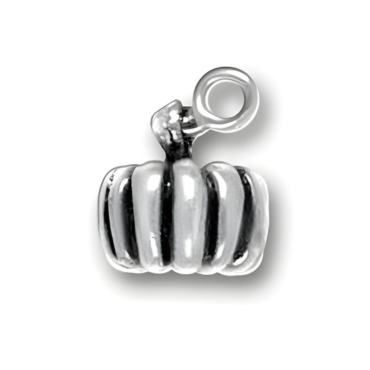 Sterling Silver Pumpkin Charm featuring a detailed, ribbed pumpkin design with a loop for attachment.
