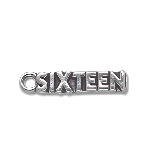 Sterling Silver Sixteen Charm Alt view.